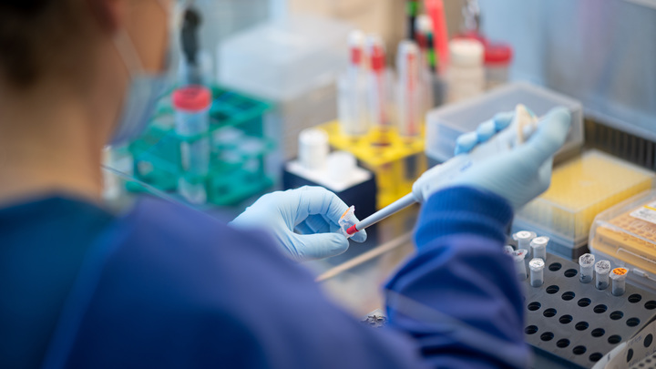 Кракен перебрался через океан: что известно о новом штамме коронавируса