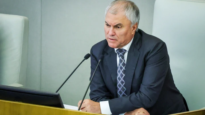 Володин поручил подготовить обращение к Правительству об изъятии активов России