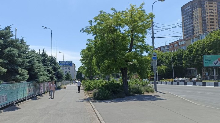 Погода в Ростове-на-Дону 11 июня 2022: прогноз синоптиков