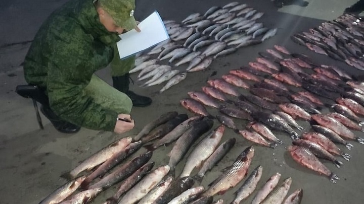 В Ростовской области пограничники задержали очередного браконьера