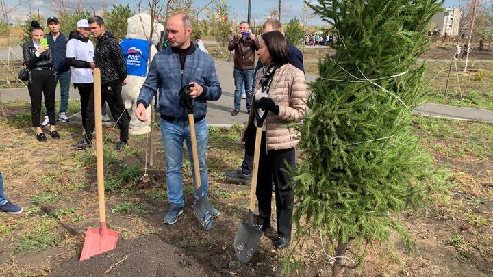 В Челябинске вдвое увеличили высадку деревьев