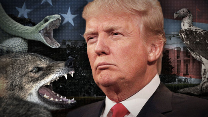 Провокации накануне инаугурации