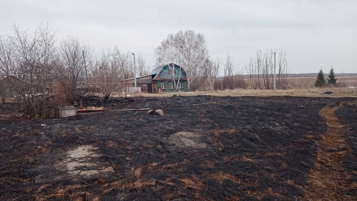 В Новосибирской области возобновились природные пожары
