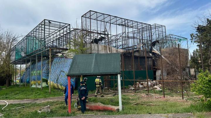 В Тропик парке Евпатории заживо сгорели более 200 животных. Двух медведей спасли сотрудники МЧС