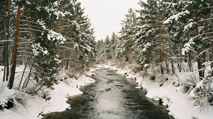 Жительница Мурманской области бесследно исчезла во время айс-флоатинга