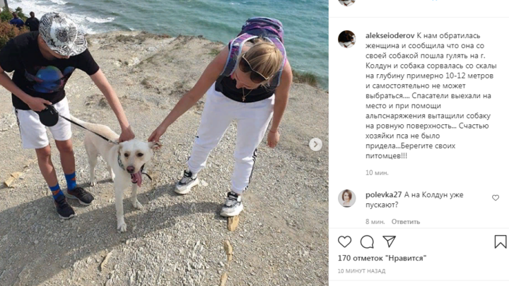 В Новороссийске на горе Колдун собака сорвалась со скалы