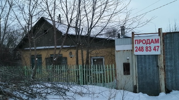 Жители челябинского посёлка запретили детям ходит в школу из-за бездомных собак