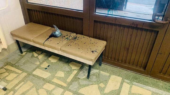 Стало известно, почему екатеринбурженка решила залить бюллетени зелёнкой