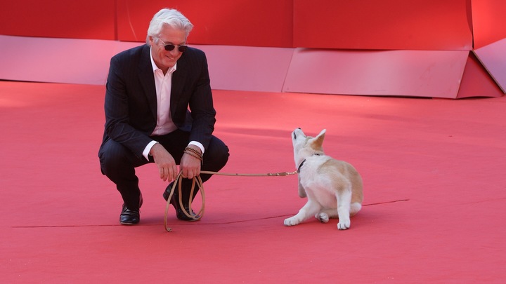 Насколько сентиментальность фильма зависит от таланта, или Почему Ди Каприо не конкурент собаке