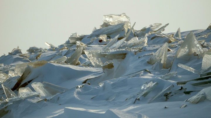 Всё было заморожено, а сейчас тает: Учёный предупредил о древних вирусах в России