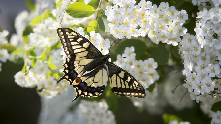 В Краснодарский край 22 февраля придёт весеннее тепло