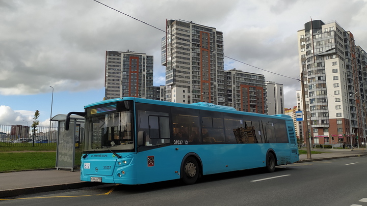 Бастрыкин заинтересовался бесконечными ДТП с лазурными автобусами в Петербурге