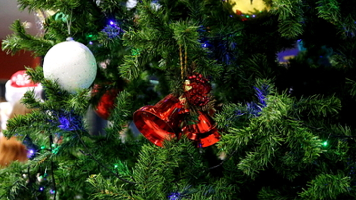 Подарки каждому до 30 декабря: Семьям мобилизованных москвичей приготовили новогодний сюрприз