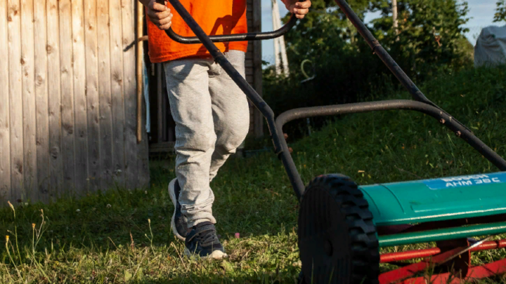 Защита от мобилизации по-украински: Мужчина с косой выгнал сотрудников военкомата ради брата