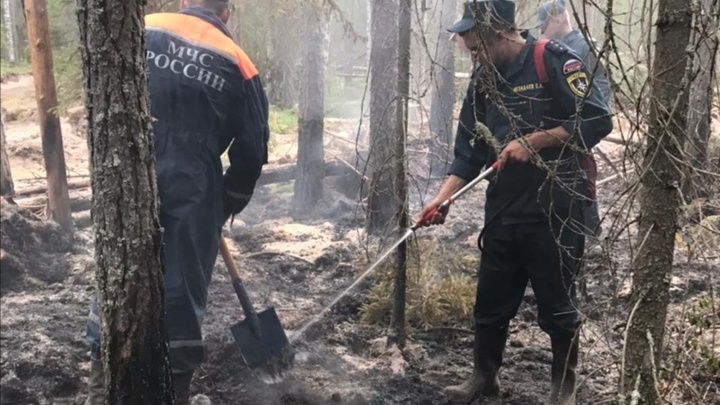 Режим ЧС введен в Первомайске в связи с пожаром в Мордовском заповеднике