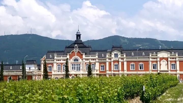 Познер и Собчак стали гостями открытия винодельни экс-губернатора Кубани Ткачева под Геленджиком