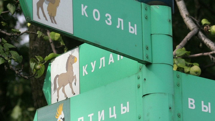 В Ленинградском зоопарке поймали главного технолога: его сгубила жажда денег