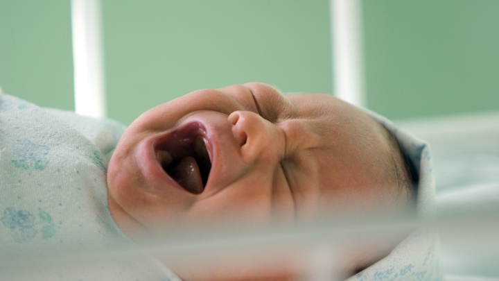 Хватит покупать детей за деньги: Почему в России мало рожают, объяснил губернатор