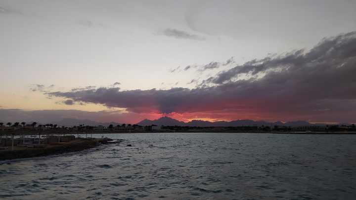 Море в Анапе окрасилось в кровавый цвет. Названа причина