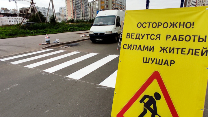 Жители Шушар устали ждать чиновников и сами нарисовали зебру напротив детского сада