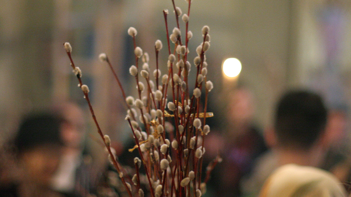 Православные христиане отмечают Вербное воскресенье