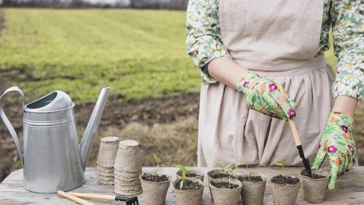 5 полезных советов для дачи: лунный календарь садовода и огородника и 20 мая 2025