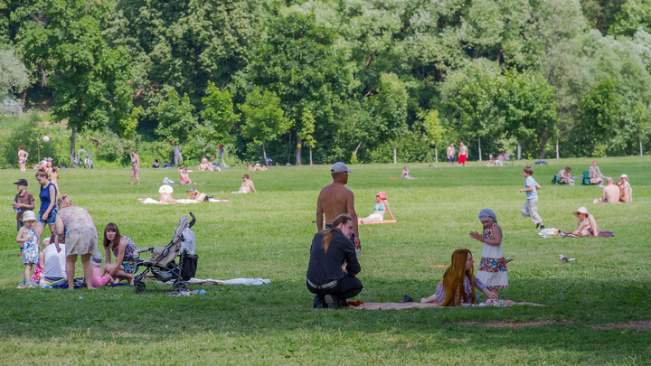 В Екатеринбурге изгнанный из леса в Мичуринском глэмпинг перебрался на новое место