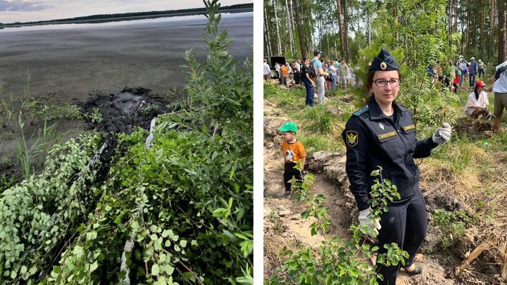 Потерявшегося в Курганской области 80-летнего грибника нашла судебный пристав
