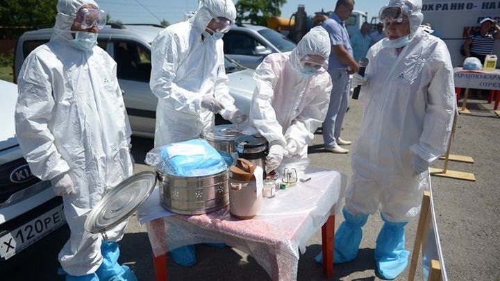 Поросёнок с сюрпризом: В Ростовской области выявлен очаг африканской чумы