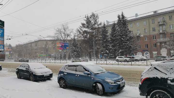 К концу недели в Новосибирской области потеплеет до +3 градусов
