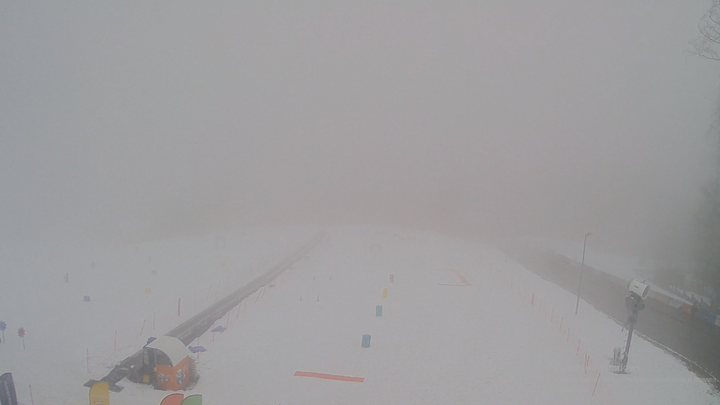 Заезд в туман: В Сочи на соревнованиях разбились 9 лыжниц