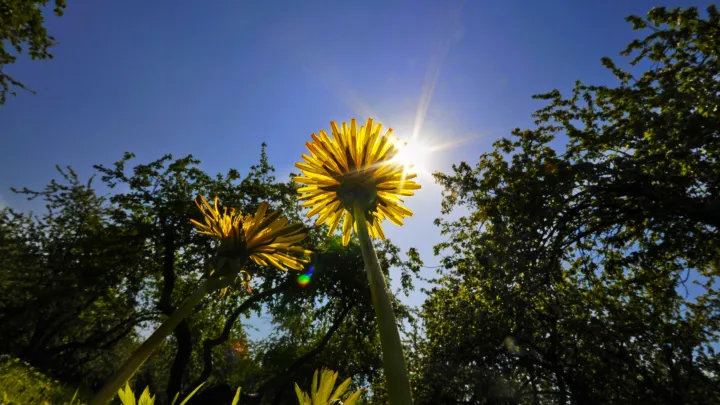 Тишковец пообещал москвичам аномально жаркое и зачетное лето