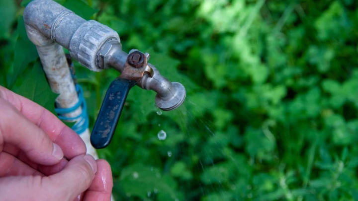 Массовое отравление в Дагестане: Роспотребнадзор назвал причину ЧП