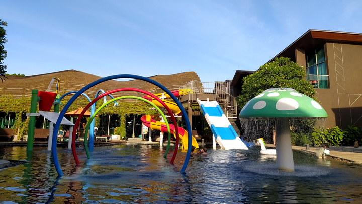 Юные запорожцы летом отправятся на отдых в Крым – Рогов