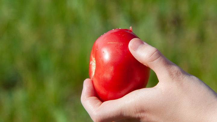 Врачи перечислили самые эффективные продукты для снижения холестерина