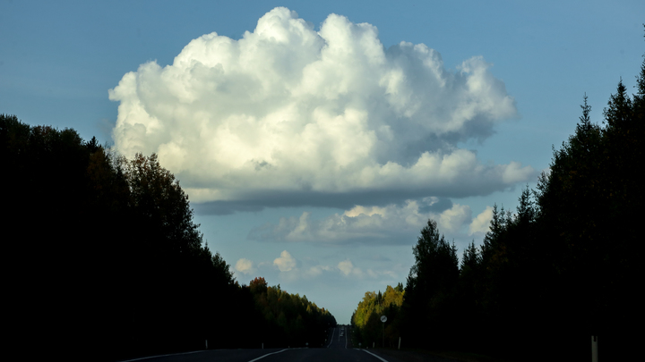 Снежный человек попал на видео в окрестностях Сильверстоуна