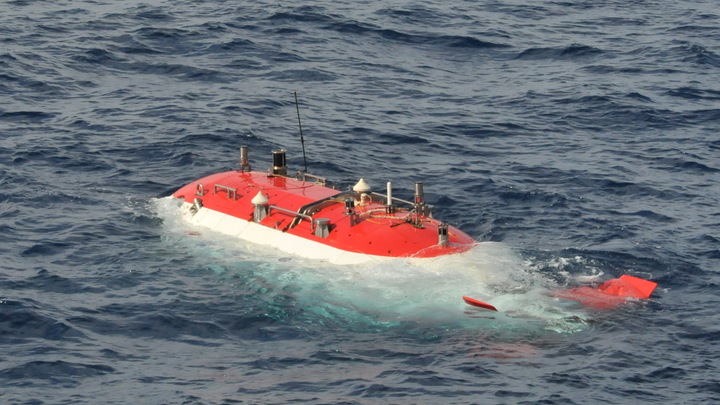 Ртуть на дне Марианской впадины: Русский эколог разбил версии иностранцев