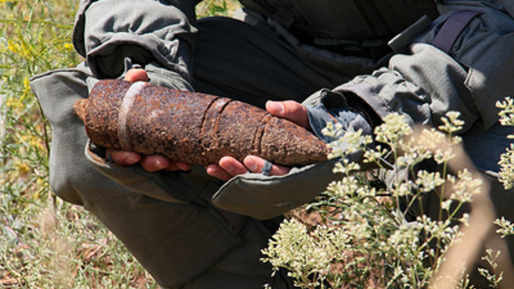 Пятиклассник принёс боевую немецкую гранату в смоленскую школу