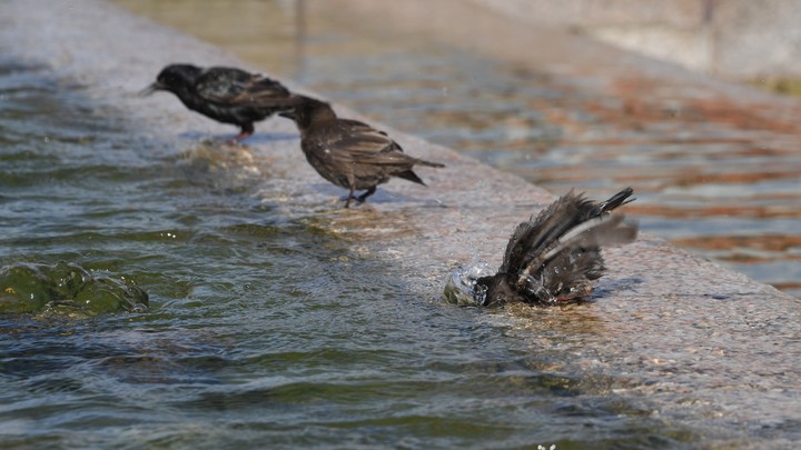 В Новосибирской области решат проблему с питьевой водой в селе Елбань