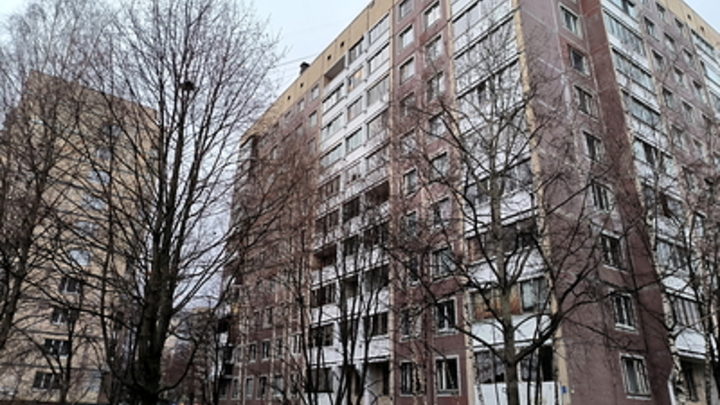 Житель Челябинска разгуливал по двору с пистолетом