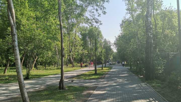Погодные сервисы уточнили прогноз на июнь в Новосибирске