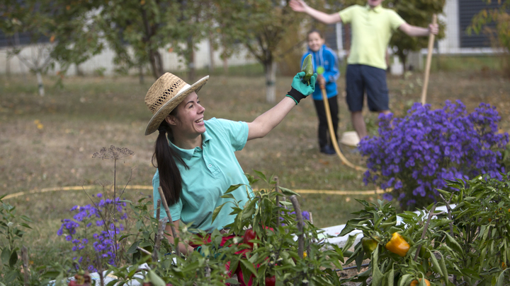 На Кубани в выходные прогнозируют 30-градусную жару