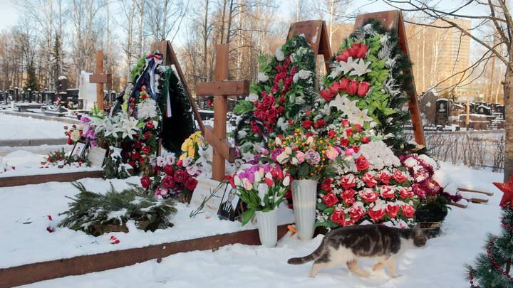Скончался экс-председатель СО РАН Николай Добрецов
