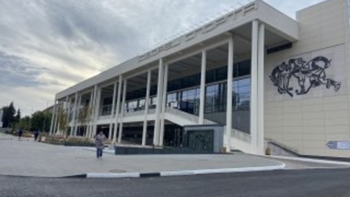 9,5 миллионов готовы потрать в Самаре на 111 дней охраны Дворца спорта