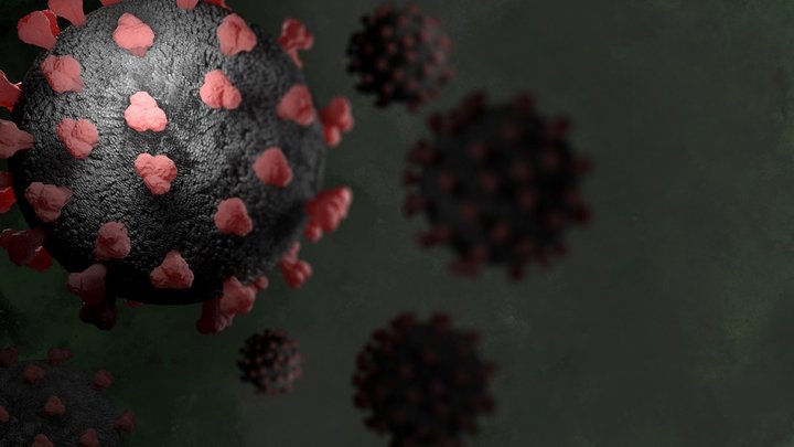 Почти у Выборга: Новый «британский» штамм коронавируса обнаружен на границе Финляндии и Ленобласти