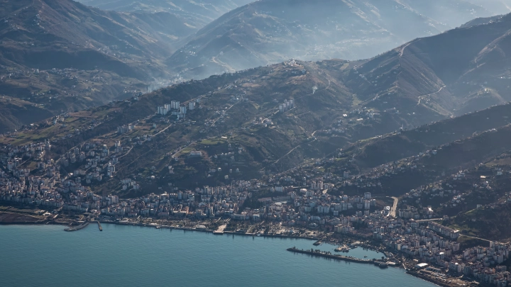 Учёные бьют тревогу: опасные бактерии Vibrio обнаружены не только в Турции, но и на юге России