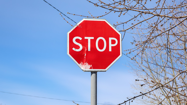 Автоперевозчики бунтуют: В Словакии хотят закрыть границу для украинских грузовиков