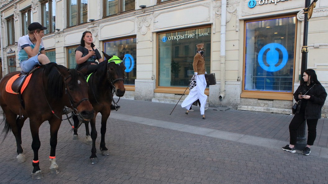 Больница для лошадей Санкт Петербург