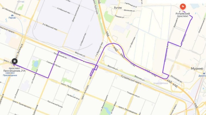От Мурино до метро «Проспект Просвещения» будут курсировать автобусы