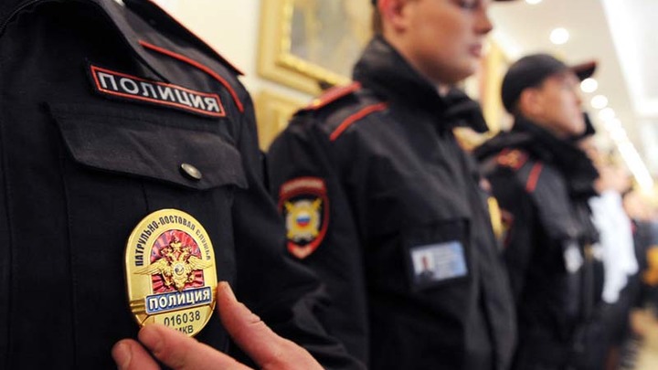 Полиция инициировала проверку после гибели собак под Новосибирском